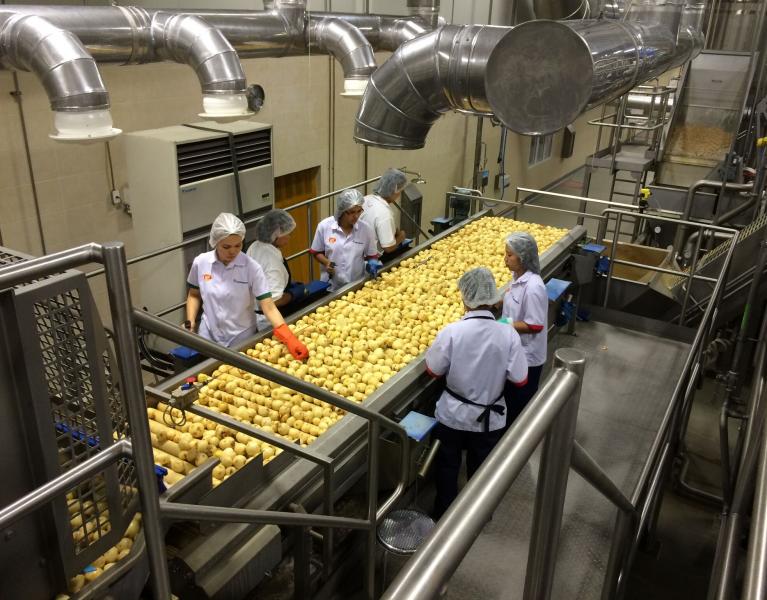 Potato Processing image representing Processing Resources 