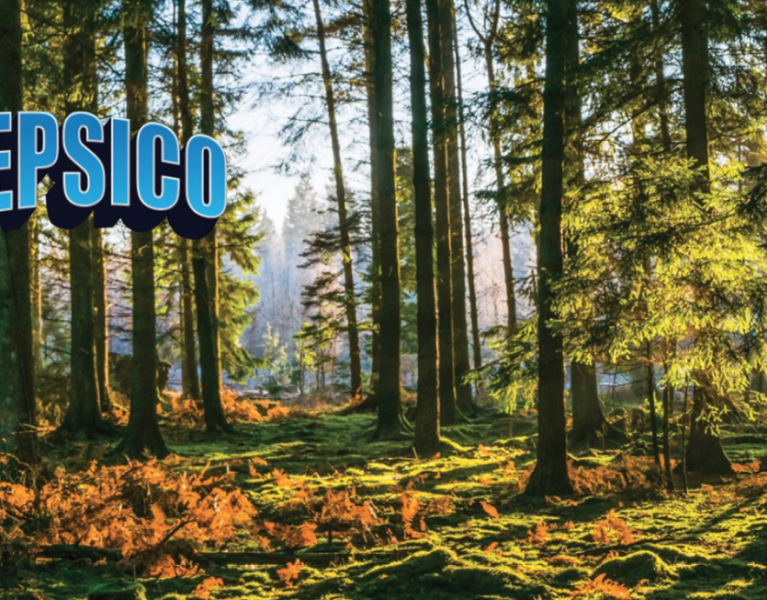 Forest with Camp PepsiCo graphic