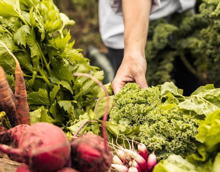 A farmer with a selection of fresh vegetables